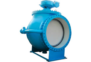 Eccentric Semi Ball Valve