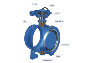 Eccentric Semi Ball Valve