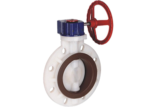 CPVC Plastic Wafer Butterfly Valve