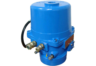 QT EX Quarter Turn Valve Electric Actuator