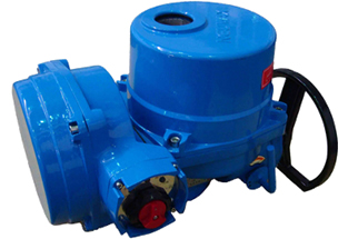 QT IN Integral Quarter Turn Valve Electric Actuator