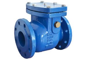 BS EN16767 Swing Check Valve