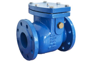 BS EN16767 Swing Check Valve