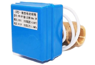 CWX-20P Mini Electric Valve