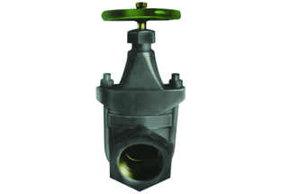 ANSI Metal Seated Gate Valve NPT