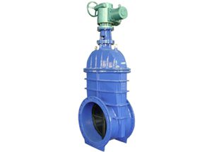 Big Size Resilient Seated Gate Valve