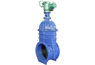 Big Size Resilient Seated Gate Valve