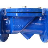 Flapper Check Valve