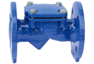 Flapper Check Valve