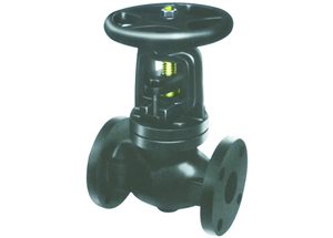 MSS SP-85 ANSI Globe Valve