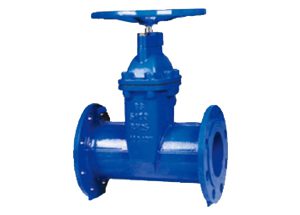 Resilient Seated Gate Valve PN25