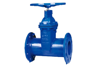 Resilient Seated Gate Valve PN25