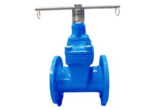 Resilient Gate Valve Lock L Type