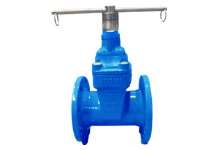 Resilient Gate Valve Lock L Type