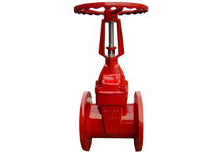 Rising Stem Flanged Resilient Gate Valve