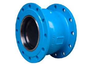 Silent Check Valve