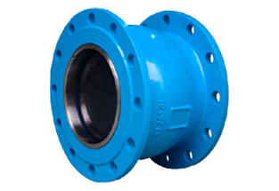 Silent Check Valve