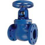 BS Iron Globe Valve