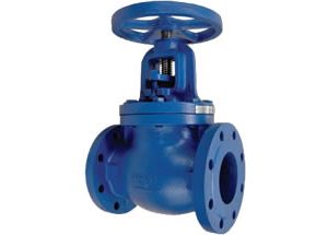 BS Iron Globe Valve