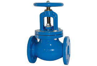 BS Iron Globe Valve