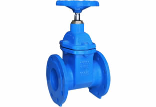 BS5150 Resilient Seated Gate Valve