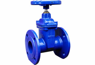 BS5150 Resilient Seated Gate Valve