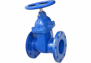 BS5150 Resilient Seated Gate Valve