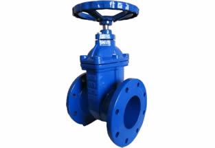 BS5163 Resilient Seated Gate Valve