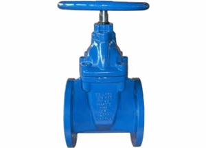 BS5163 Resilient Gate Valve