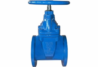 ASME Resilient Seated Gate Valve