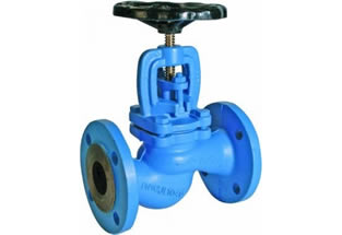 DIN Iron Globe Valve