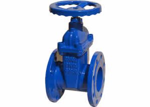 Resilient Gate Valve Gland Type