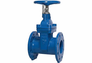 Resilient Gate Valve Gland Type