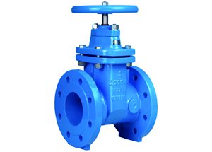 ASME RESILIENT SEATED GATE VALVE-NRS