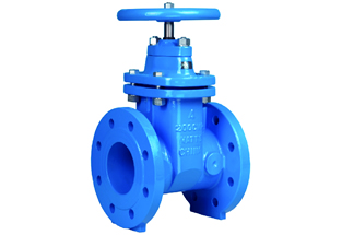 ASME Resilient Seated Gate Valve