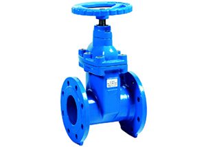 F4 Resilient Seated Gate Valve