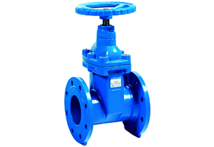 F4 Resilient Seated Gate Valve