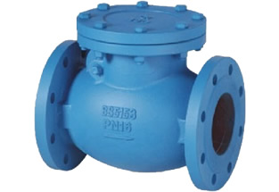 BS5153 Swing Check Valve