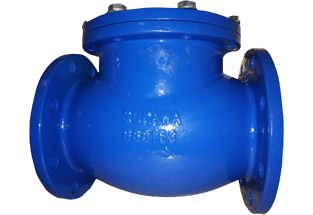 BS5153 Swing Check Valve