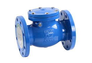 BS5153 Swing Check Valve