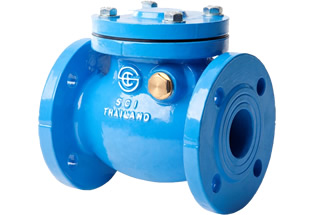 BS5153 Swing Check Valve