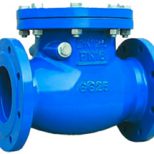 BS5153 Swing Check Valve