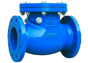 BS5153 Swing Check Valve