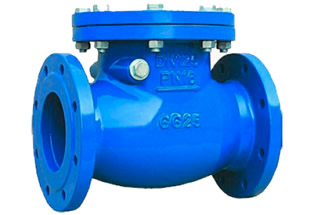 BS5153 Swing Check Valve