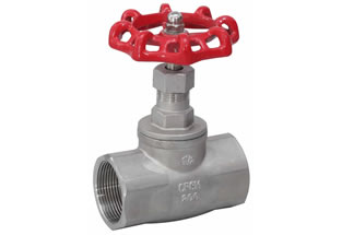 Globe Valve Threaded End